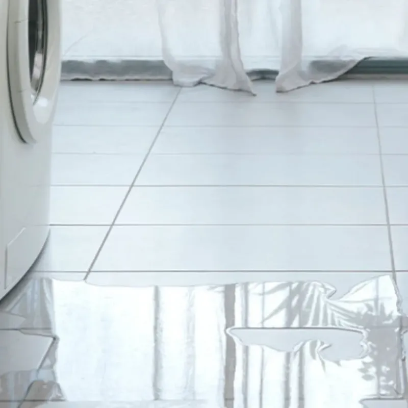 Appliance Leak Cleanup in Chase City, VA