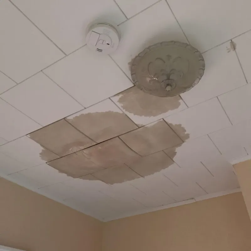 Ceiling Water Damage Repair in Chase City, VA