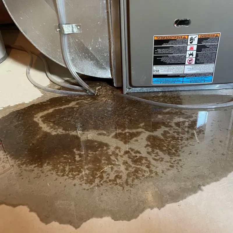 Pipe Burst and Leak Restoration in Chase City, VA