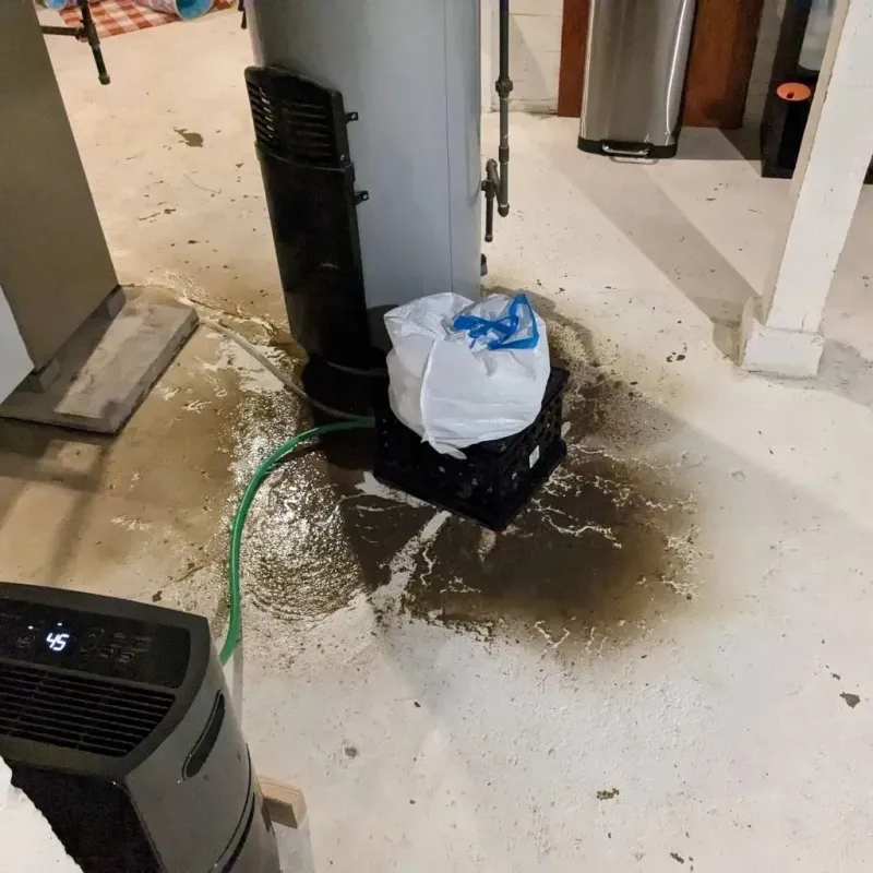 Sewage Backup Cleanup Service in Chase City, VA